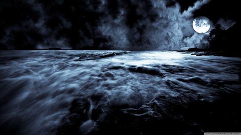 fresh desktop 2560x1440 wallpaper preview
