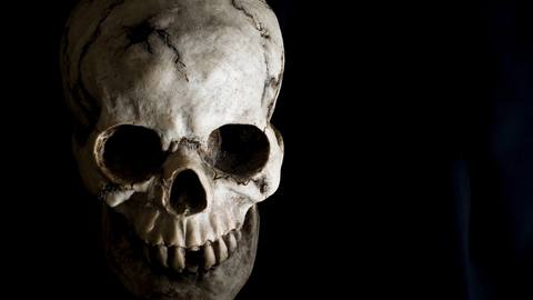 fresh desktop 1920x1080 wallpaper