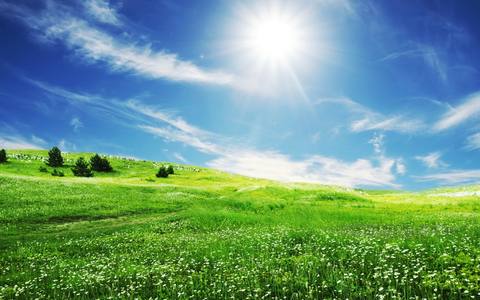 fresh desktop 1920x1200 wallpaper preview