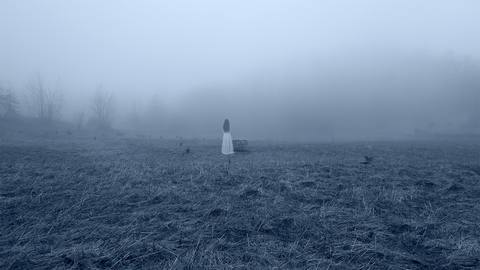 fresh desktop 1920x1080 wallpaper preview