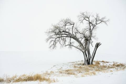 fresh desktop 1920x1282 wallpaper preview