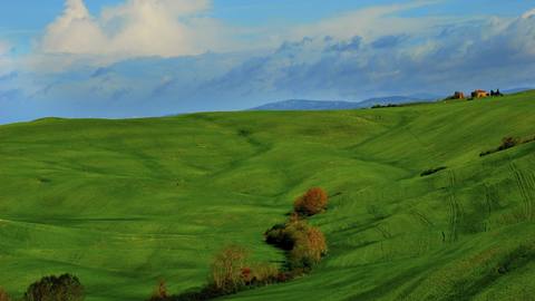 fresh desktop 1920x1080 wallpaper preview