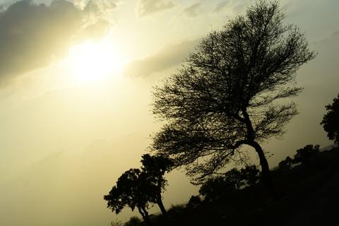 fresh desktop 6000x4000 wallpaper preview