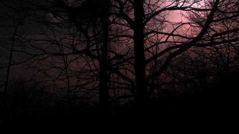 fresh desktop 1920x1080 wallpaper