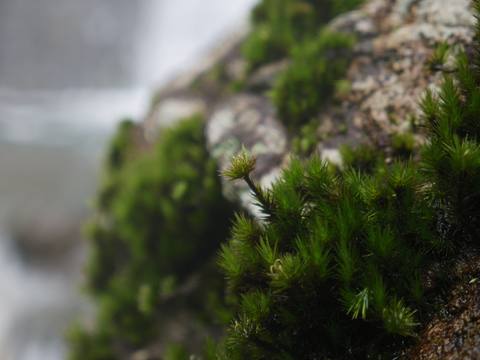 fresh desktop 4592x3448 wallpaper preview
