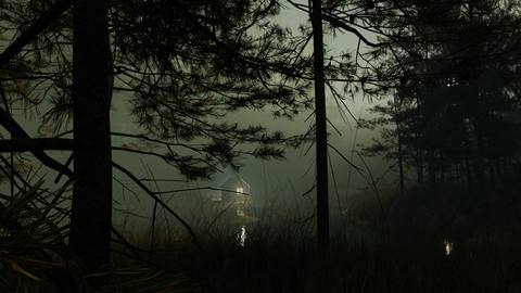forest desktop 1920x1080 wallpaper