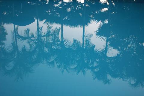 fresh desktop 3456x2304 wallpaper preview