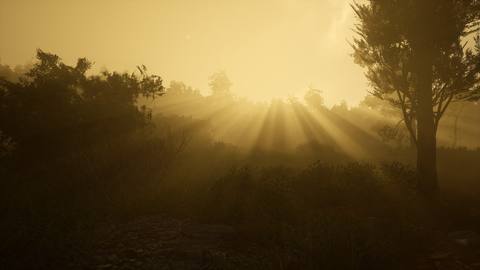 fresh desktop 2560x1440 wallpaper preview