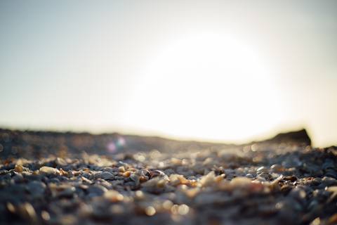 fresh desktop 5049x3366 wallpaper preview