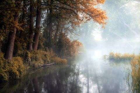 fresh desktop 2560x1707 wallpaper