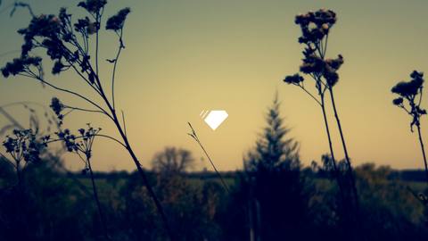 fresh desktop 1920x1080 wallpaper preview