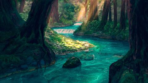 nature desktop 2560x1440 wallpaper