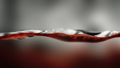 fresh desktop 1920x1080 wallpaper