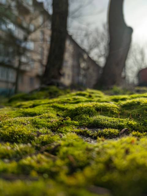 fresh phone 3472x4640 wallpaper