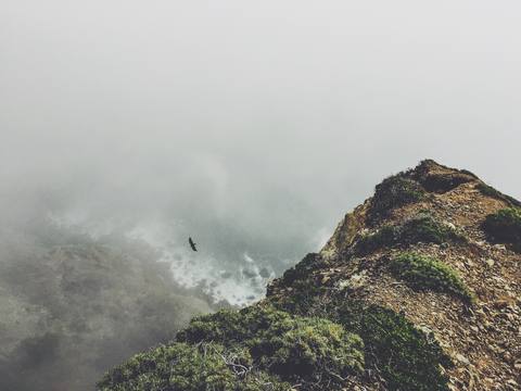 fresh desktop 3264x2448 wallpaper preview