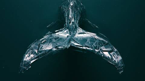 fresh desktop 1920x1080 wallpaper