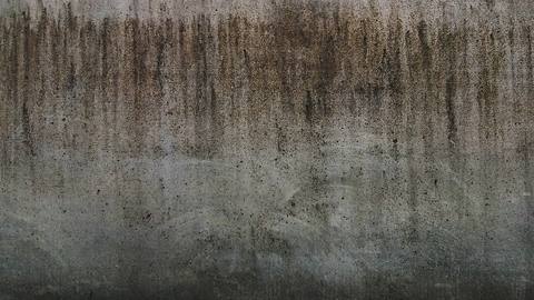 fresh desktop 1920x1080 wallpaper