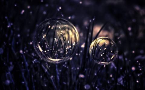 fresh desktop 1920x1200 wallpaper preview