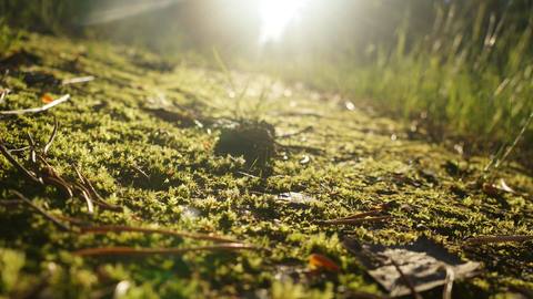 fresh desktop 3840x2160 wallpaper