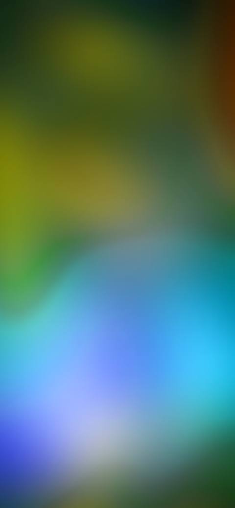 fresh phone 2250x4872 wallpaper preview