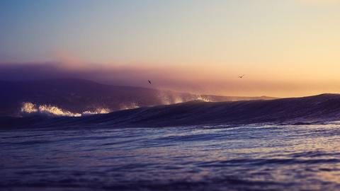 fresh desktop 2560x1440 wallpaper